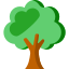 arbre, bois massif, chêne, menuisier